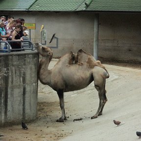 Фотография от Женя Папонов