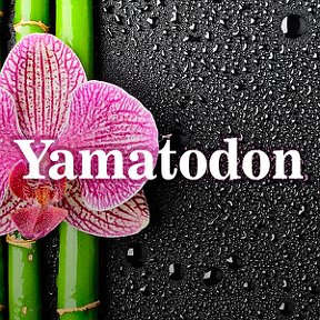 Фотография от Yamatodon - японские товары