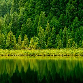 Фотография от Вазира Зиятдинова