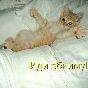 Фотография "Посмотрите, какая замечательная открытка! http://odnoklassniki.ru/app/card?card_id=-2535534"