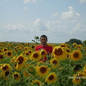 Фотография от Александр Подлесных