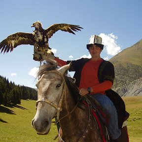 Фотография "Киргизия 2011"