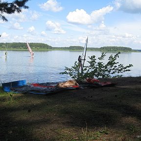 Фотография "Специально для модераторов!Я на "wind serfe" возле деревца!Это моё хобби!"