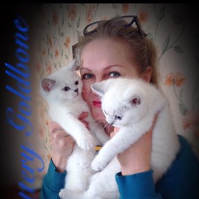 Фотография "Я- врач косметолог... и огромная любовь кошкам... Наверное, все дело в КРАСОТЕ...)))🌹"