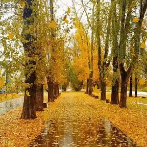 Фотография от Владимир Авдеев