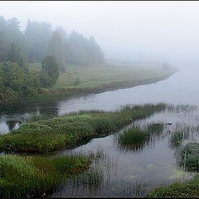 Фотография от цветик семицветик