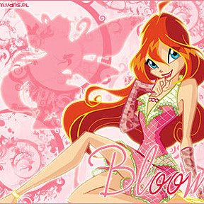 Фотография от BLUM WINX