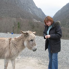 Фотография "2006 год дорога на Красную Поляну
"