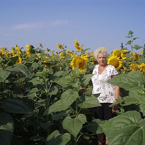 Фотография от Татьяна Плясова