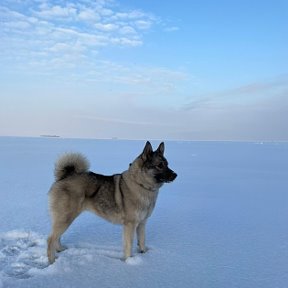 Фотография от Александр Нахаев