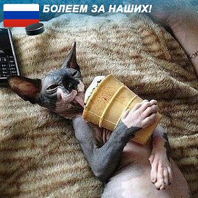 Фотография от Olegan ♎