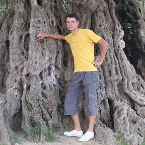 Фотография "г. Бар (Черногория). Я и 20 вековое маслиновое дерево."