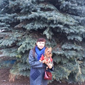 Фотография "Минск, 1 января 2020г, с нашим любимчиком 13,5 лет вместе"