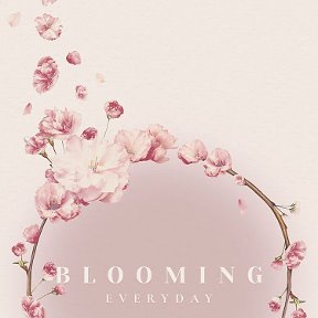 Фотография от BLOOMING EVERYDAY