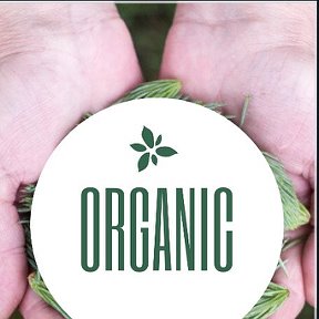 Фотография от Organic Shop