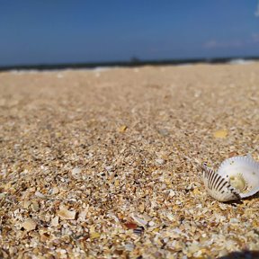 Фотография от Анастасия Мороз