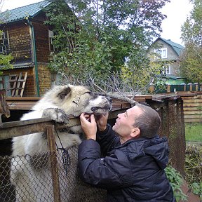 Фотография от Николай Хвостиков