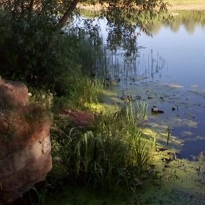 Фотография от лина сидорова