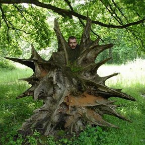 Фотография от Александр Кравченко