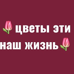 Фотография от 🌷Цветы эти наш жизнь🌷