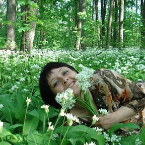 Фотография от Людмила Вдовиченко(Вайпан)