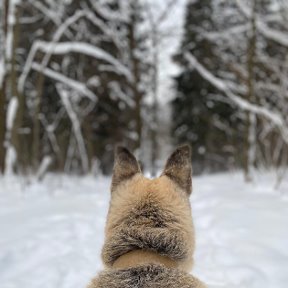 Фотография от Екатерина Дедова