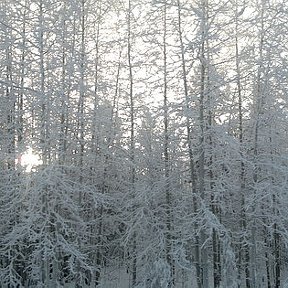 Фотография от Олег Леонтьев