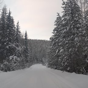 Фотография от Сергей Сергеевич Ермалюк