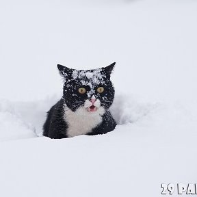 Фотография от Ника Фёдорова