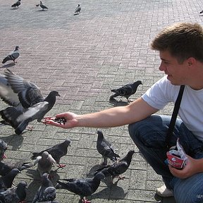 Фотография "На прогулке в парке:) Стая голодных голубей:)"