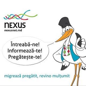 Фотография "NEXUSnet.md este locul unde putem împărtăși și învăța din experiența unui altuia, astfel încât procesul de migrație să devină mai ușor."