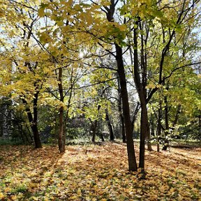 Фотография от Светлана Власова ( Логинова)