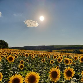 Фотография от Татьяна Винитинская(Ткаченко)