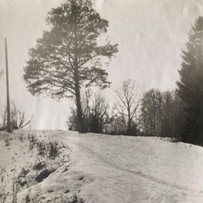 Фотография от Алевтина Новикова