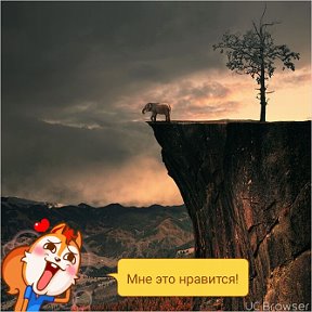 Фотография от Мансур Расулов