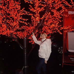 Фотография "Вечно красное дерево"