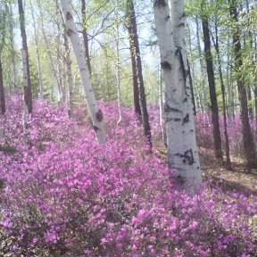 Фотография от Ольга и Олег Туреевы