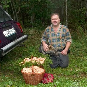 Фотография "2006 год Тверская область. В тот год мы были с опятами."