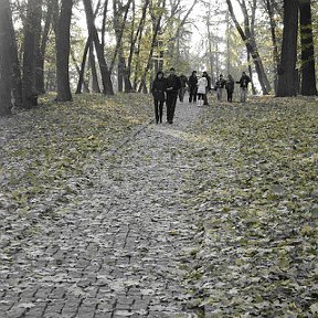 Фотография "парк "Софиевка", золотая осень"