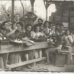Фотография "Перерыв на обед на упаковочной фабрике в  Реховоте в 1938"