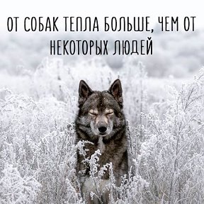 Фотография от Татьяна Фокина