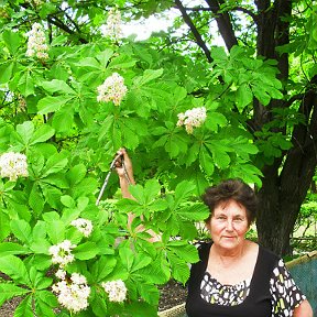 Фотография от Любовь Анисимова (Остапенко)