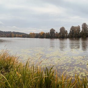 Фотография от Мария Мария