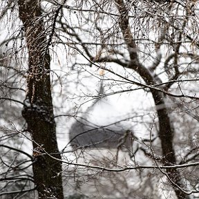 Фотография от Псковская область