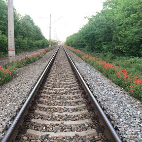 Фотография "Дорога на курорты Краснодарского Края со смаком.."