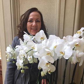 Фотография "Орхидеи настоящие, живые!"