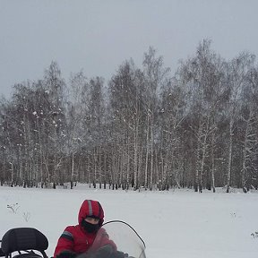 Фотография от Никита Лазарев