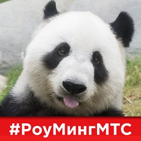 Фотография от Роу Минг