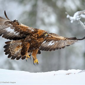 Фотография "иду по приборам"