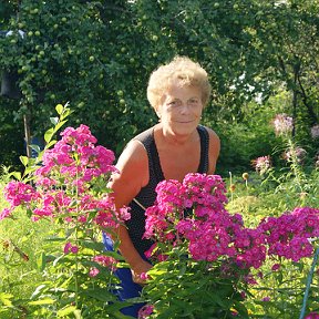 Фотография "В саду у сестёр(Балахна-Н-Новгород)"